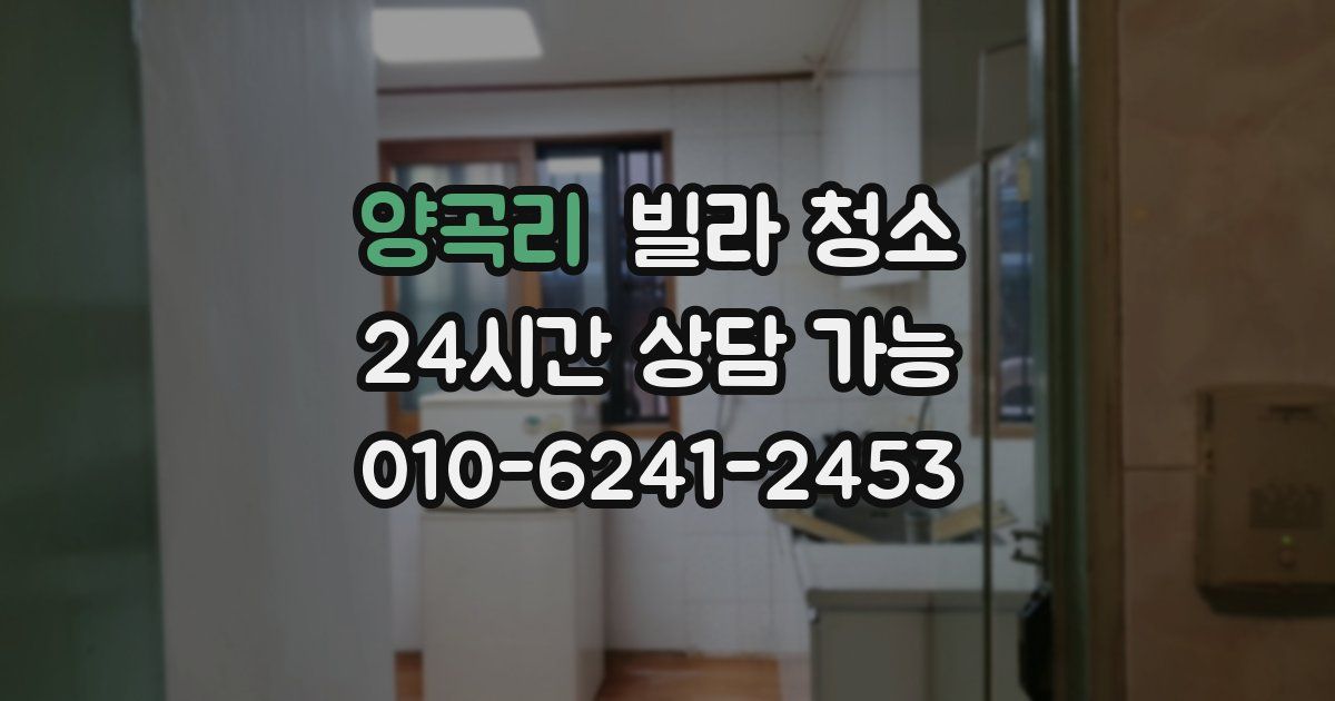 양곡리 빌라 청소