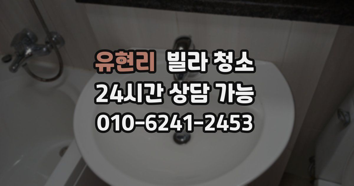 유현리 빌라 청소