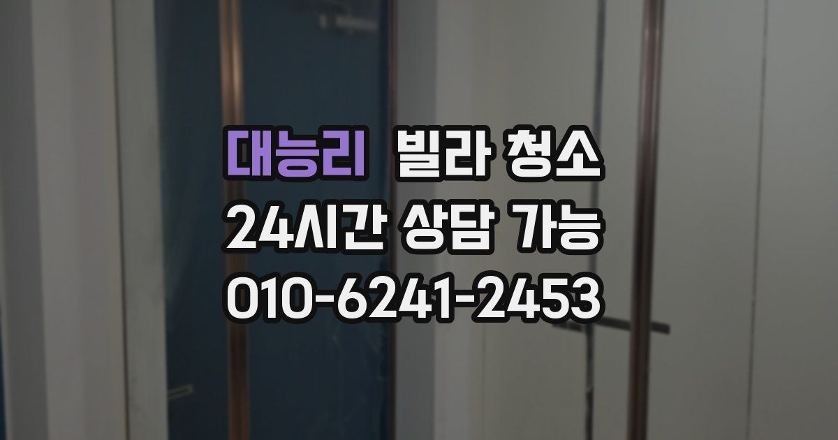 대능리 빌라 청소