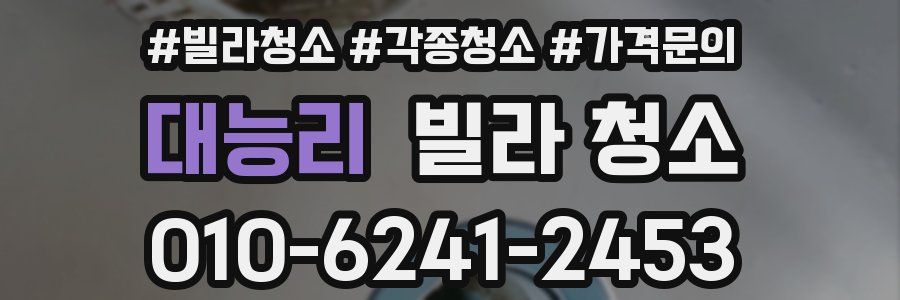 대능리 빌라 청소