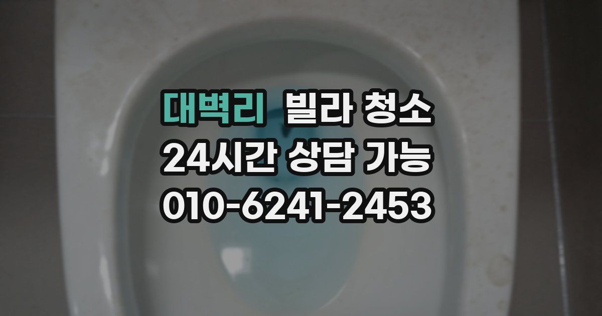 대벽리 빌라 청소
