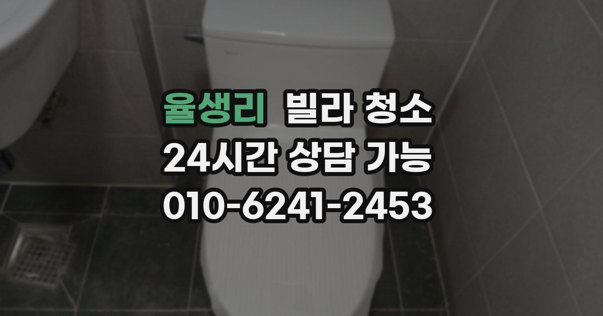 율생리 빌라 청소