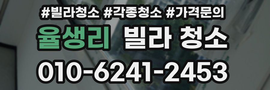 율생리 빌라 청소