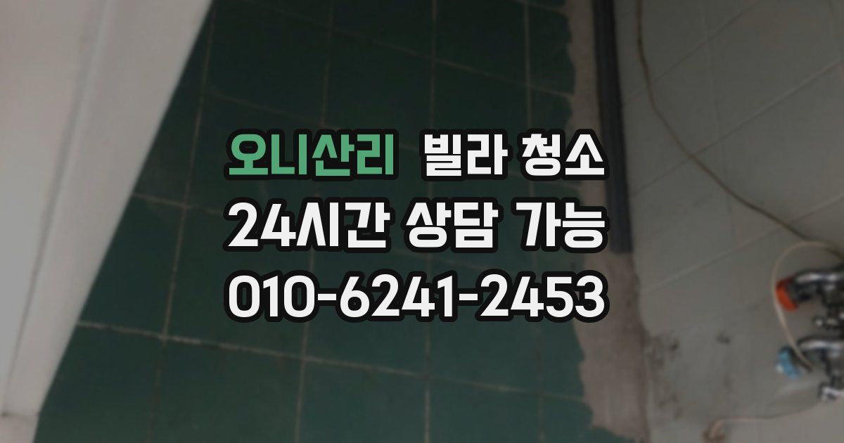 오니산리 빌라 청소