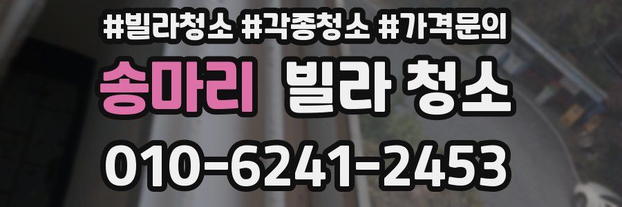 송마리 빌라 청소