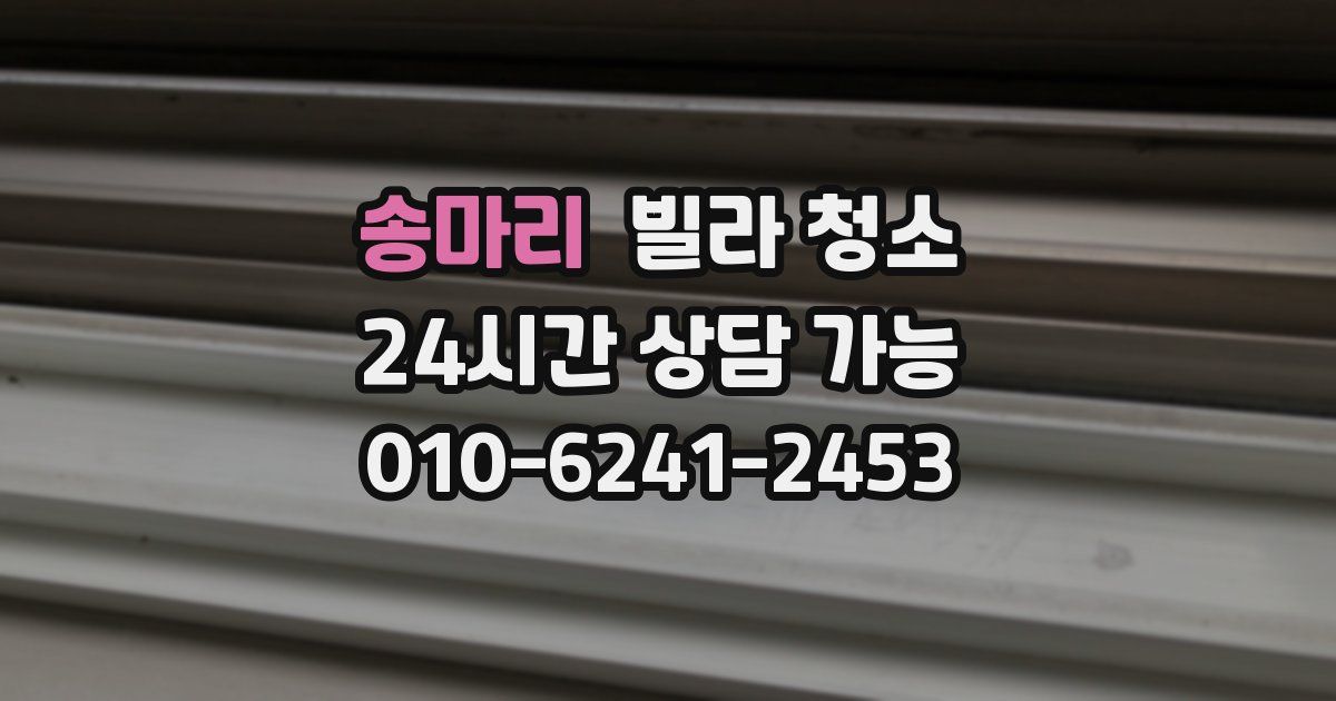 송마리 빌라 청소