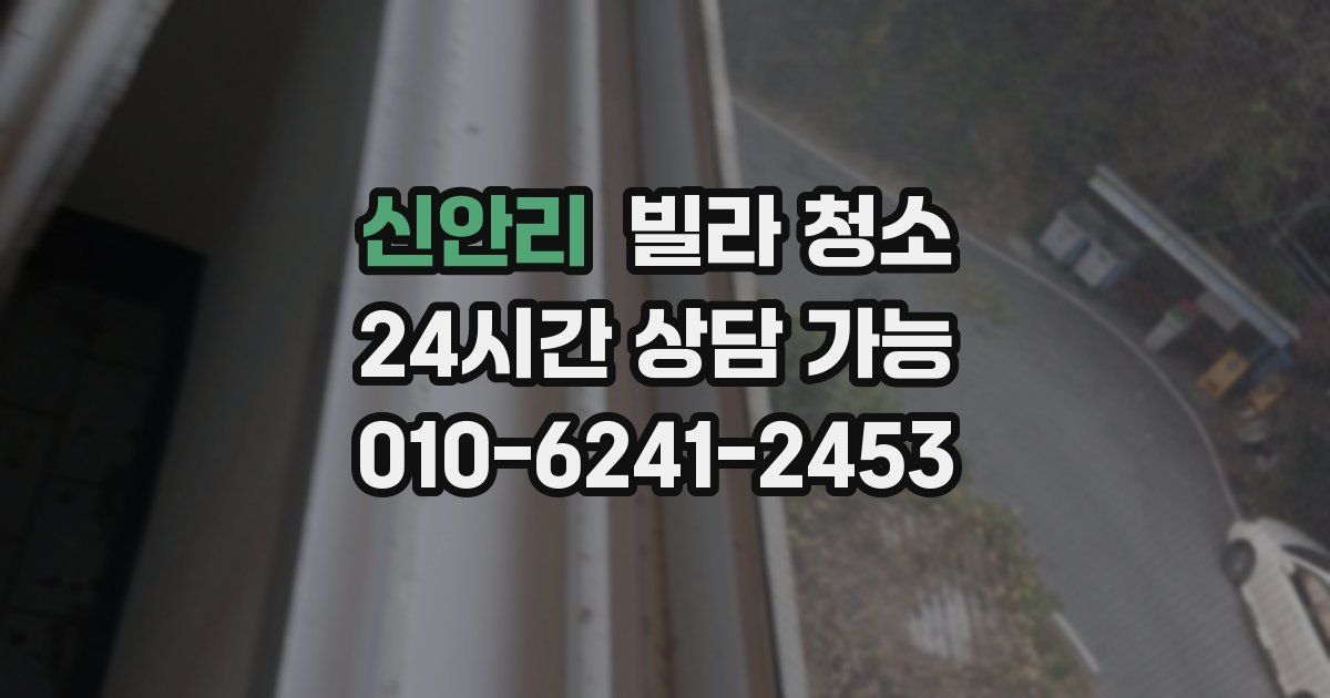 신안리 빌라 청소