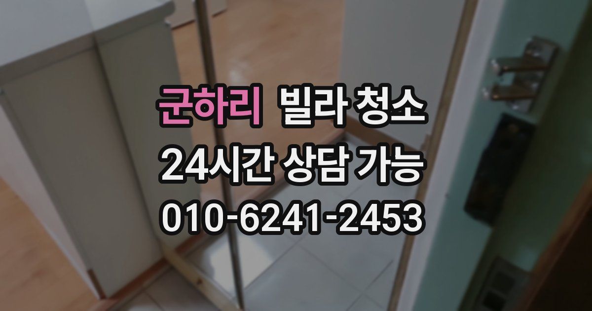 군하리 빌라 청소