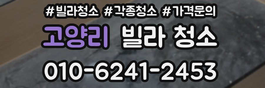 고양리 빌라 청소