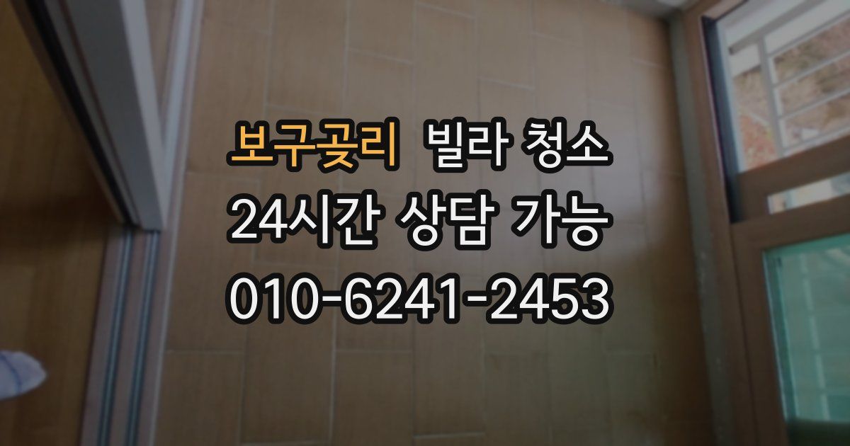 보구곶리 빌라 청소