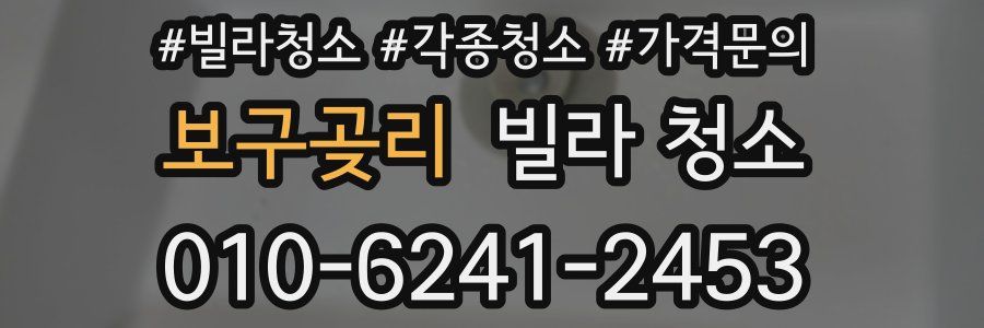 보구곶리 빌라 청소