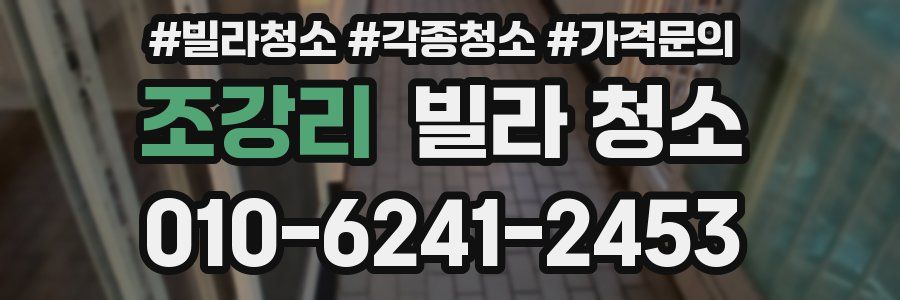 조강리 빌라 청소