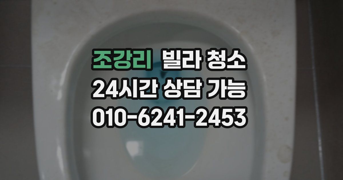 조강리 빌라 청소