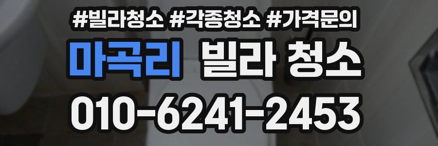 마곡리 빌라 청소