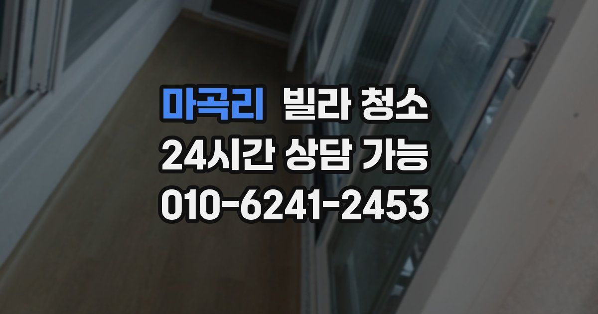 마곡리 빌라 청소