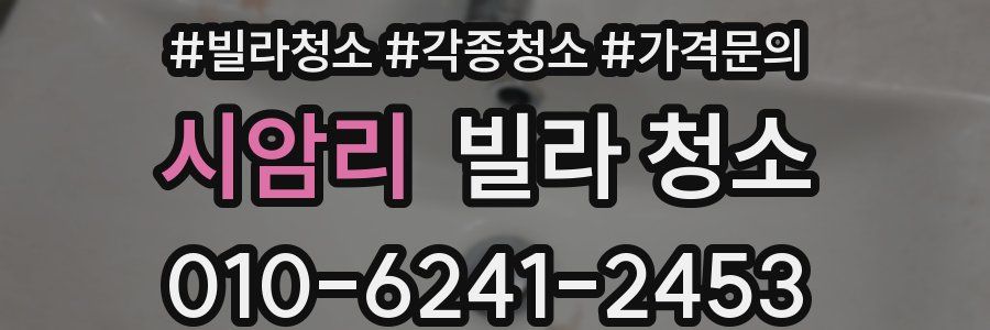 시암리 빌라 청소