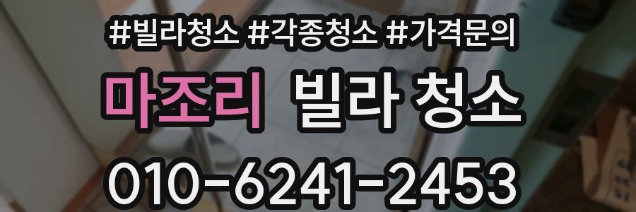 마조리 빌라 청소