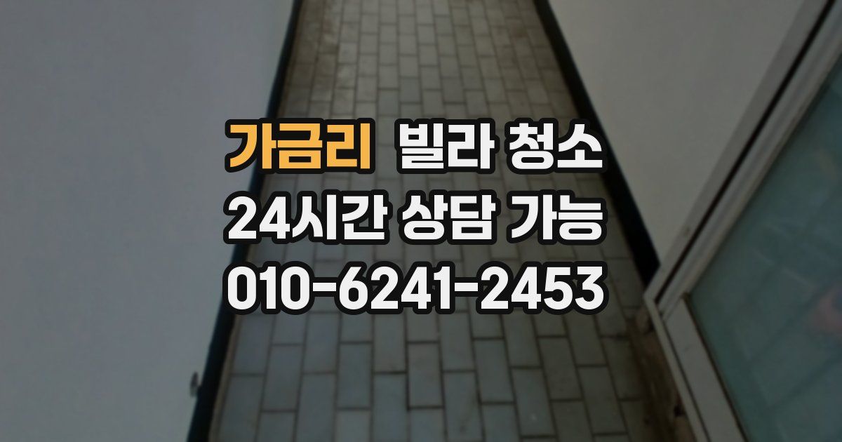 가금리 빌라 청소