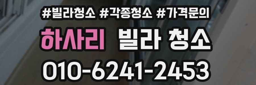하사리 빌라 청소