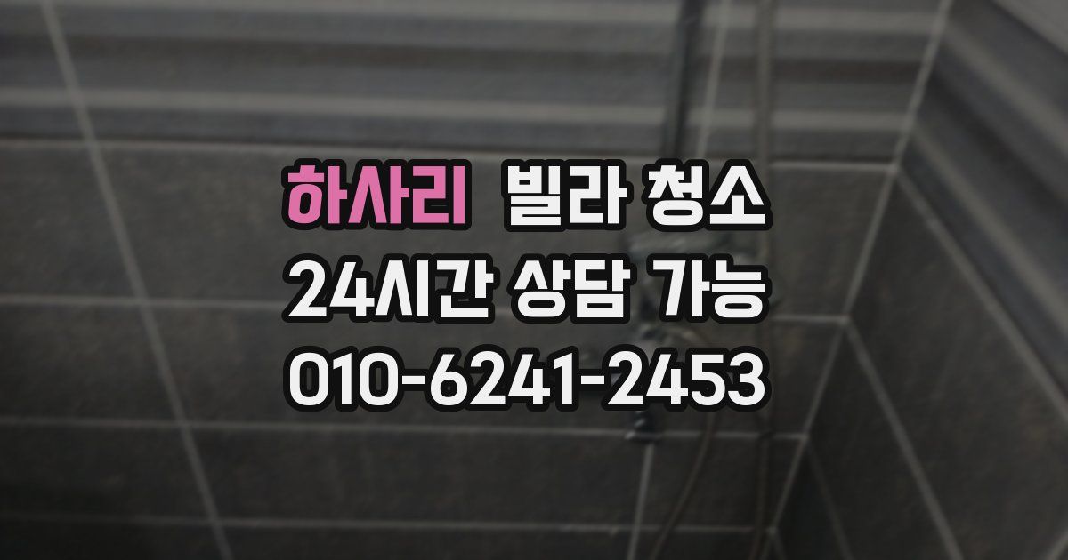 하사리 빌라 청소