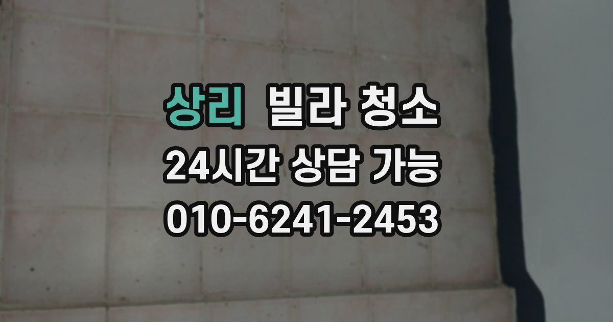 상리 빌라 청소