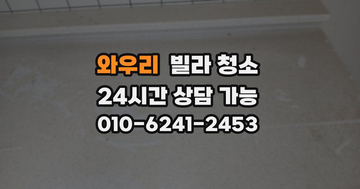 와우리 빌라 청소