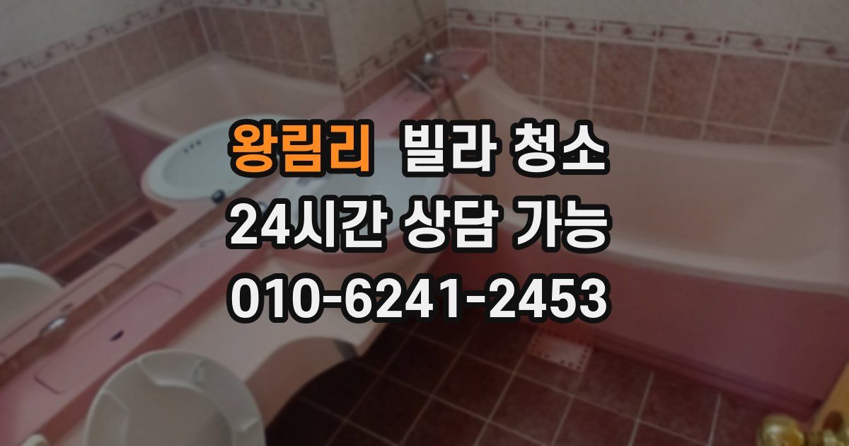 왕림리 빌라 청소