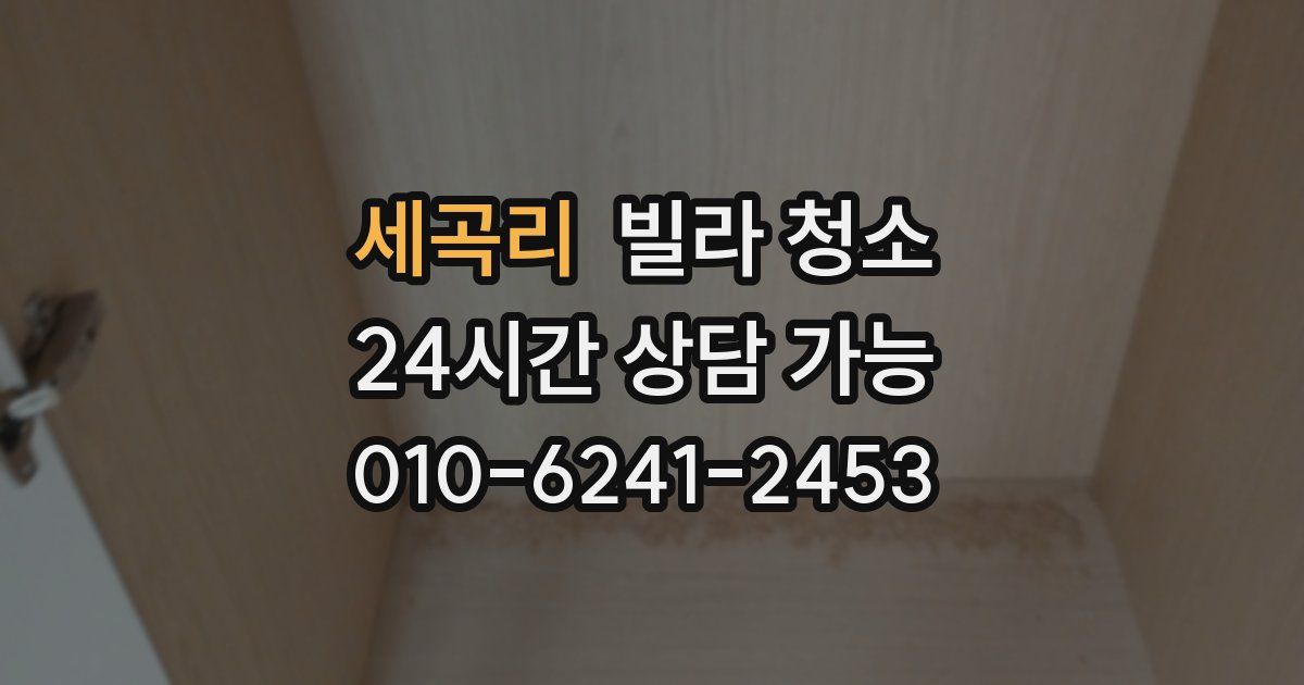 세곡리 빌라 청소