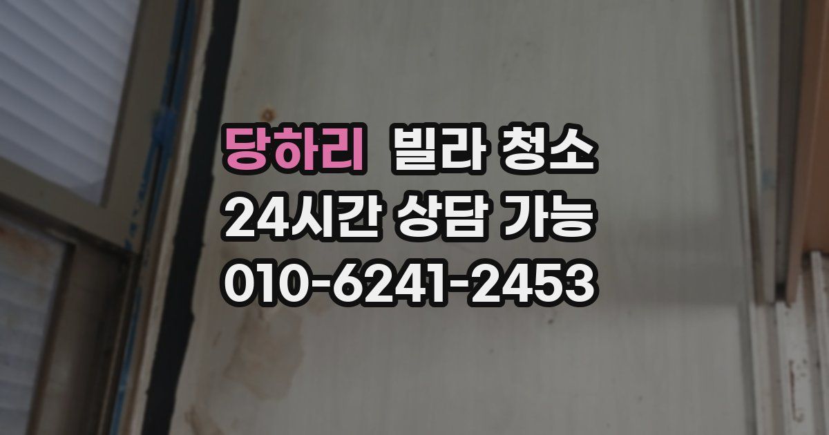 당하리 빌라 청소