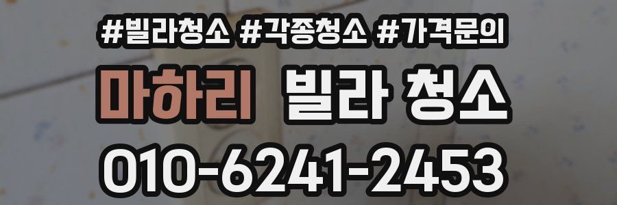 마하리 빌라 청소