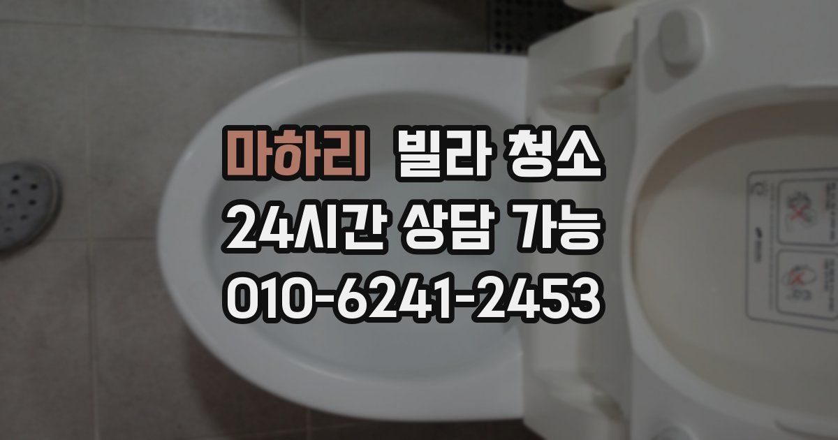 마하리 빌라 청소