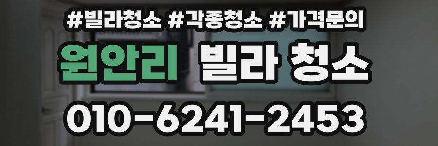 원안리 빌라 청소