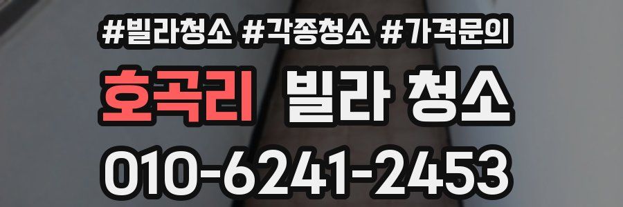 호곡리 빌라 청소