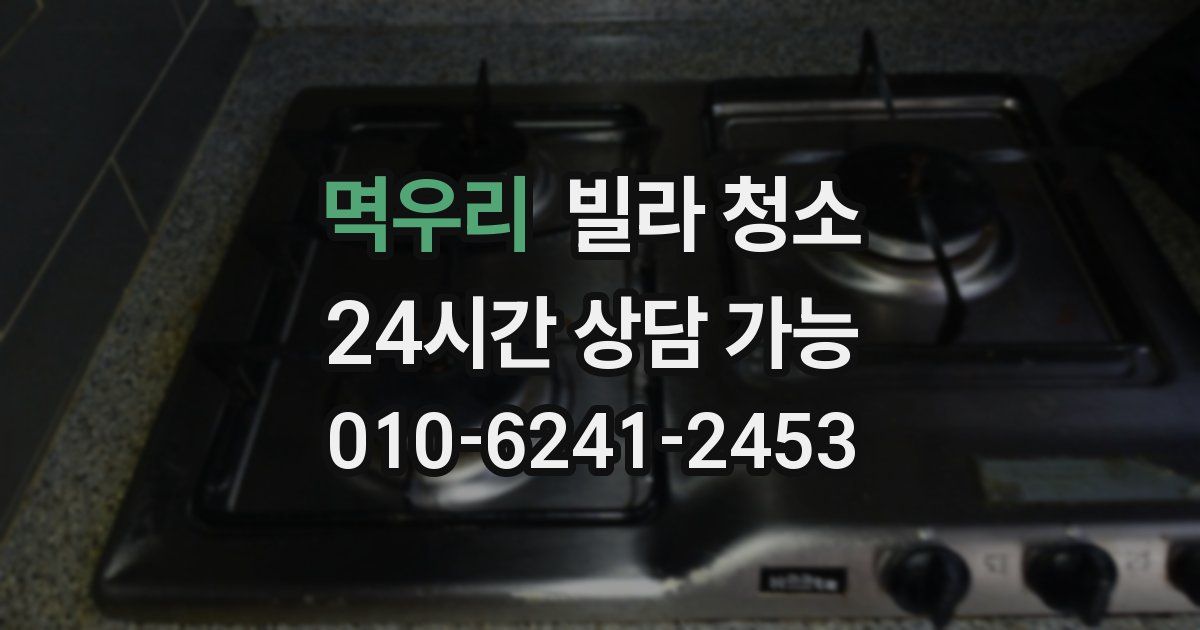 멱우리 빌라 청소