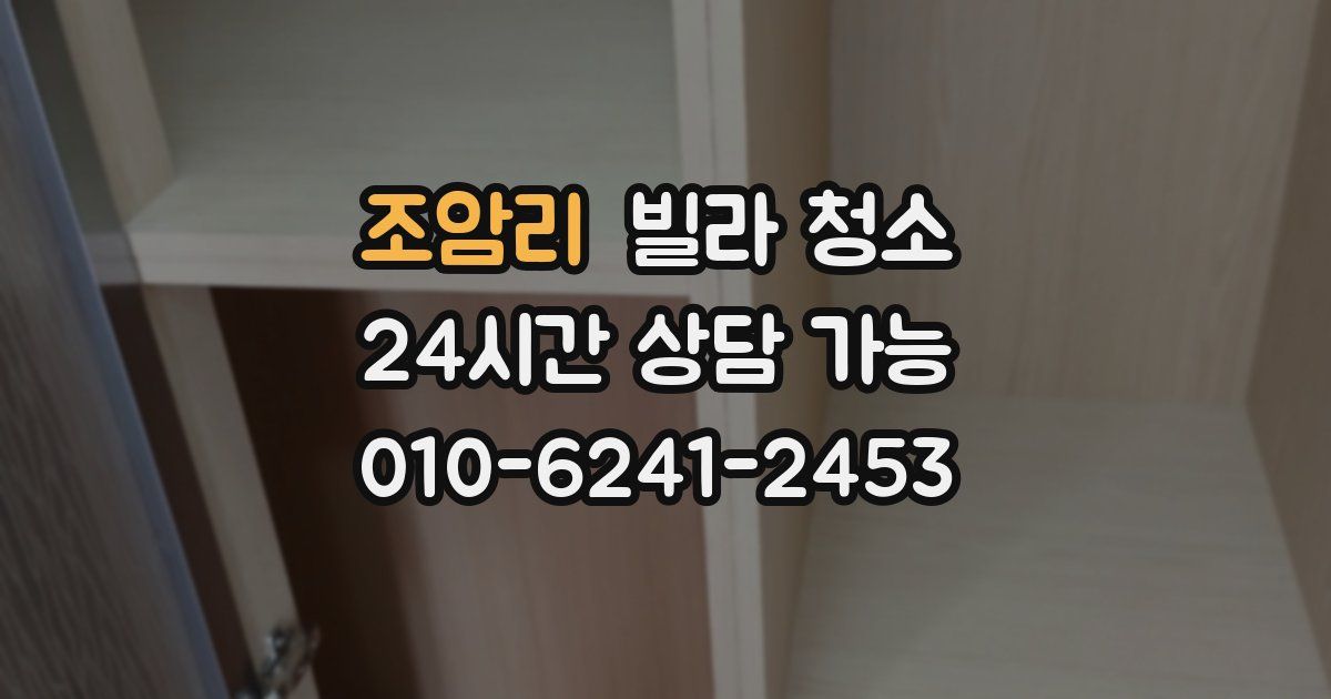 조암리 빌라 청소