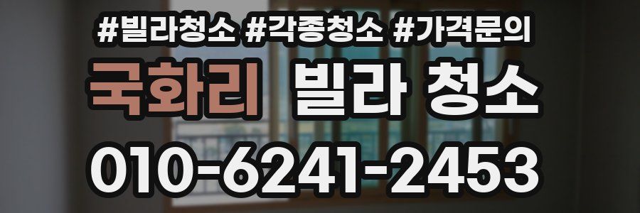 국화리 빌라 청소