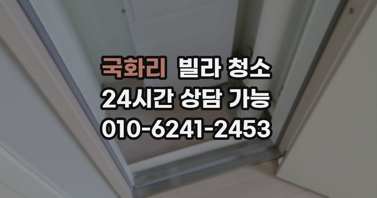 국화리 빌라 청소