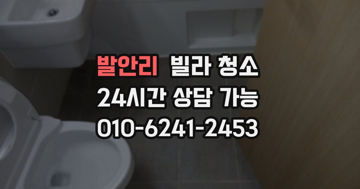 발안리 빌라 청소