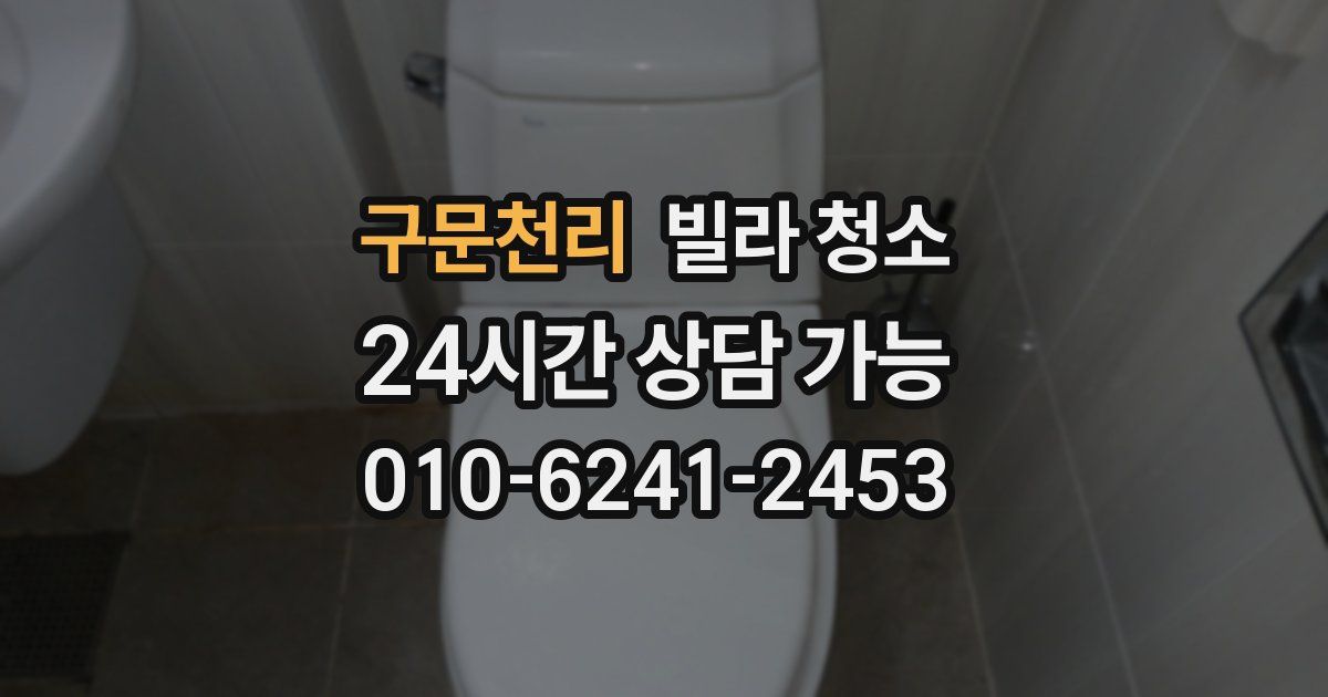 구문천리 빌라 청소