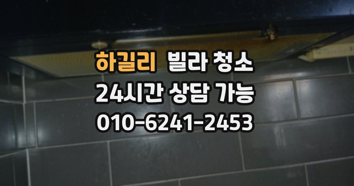 하길리 빌라 청소