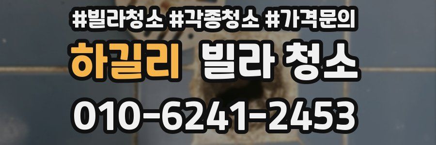 하길리 빌라 청소