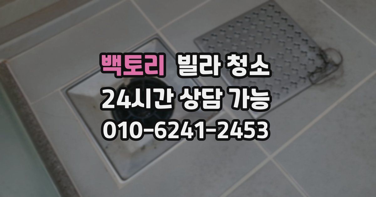 백토리 빌라 청소