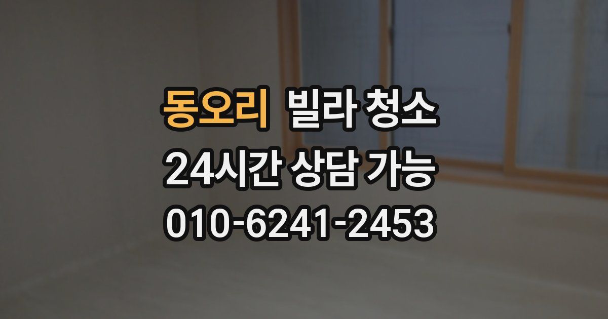 동오리 빌라 청소