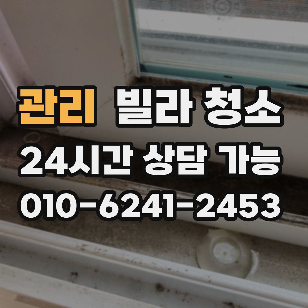 관리 빌라 청소