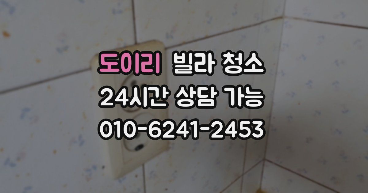 도이리 빌라 청소