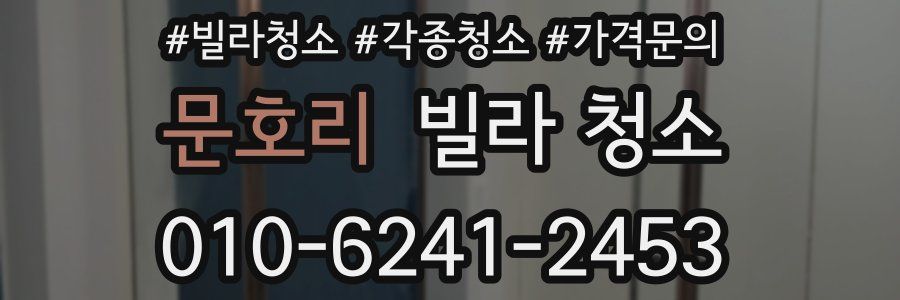 문호리 빌라 청소
