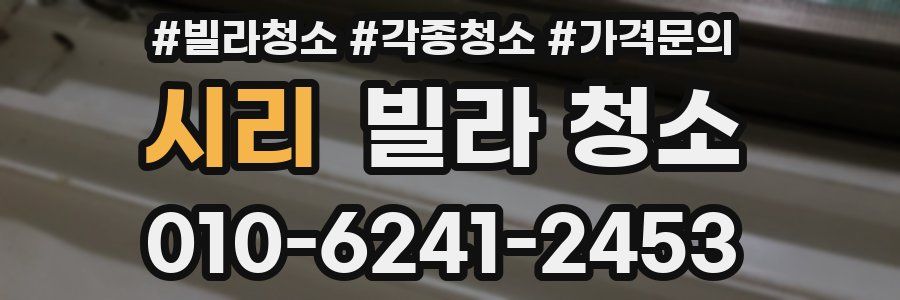 시리 빌라 청소