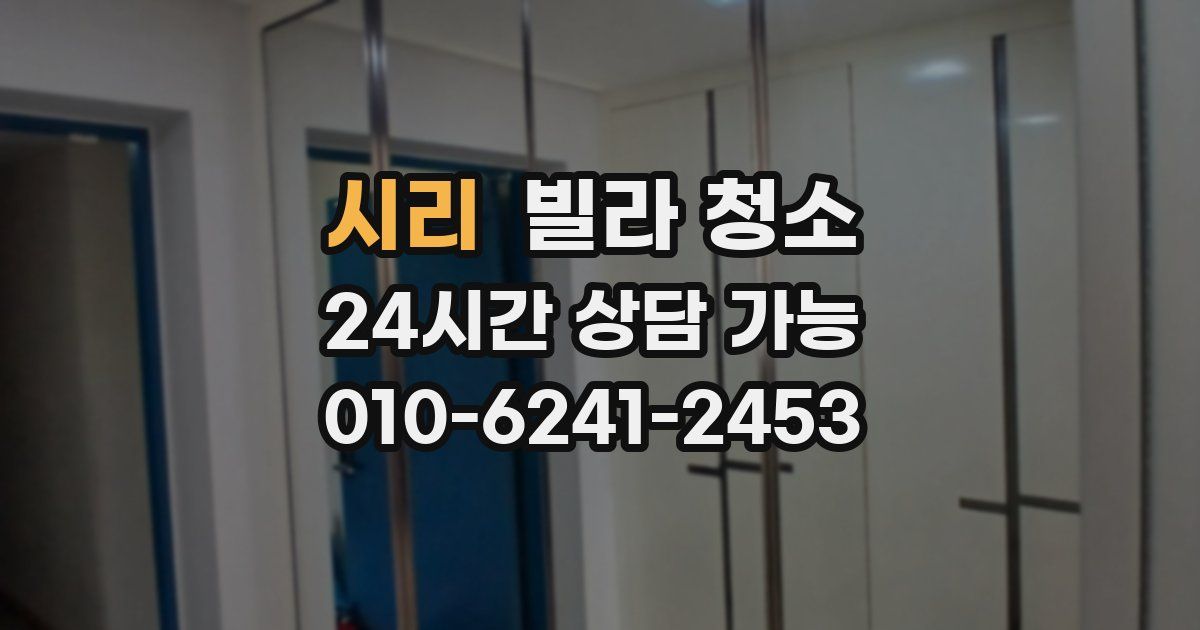 시리 빌라 청소