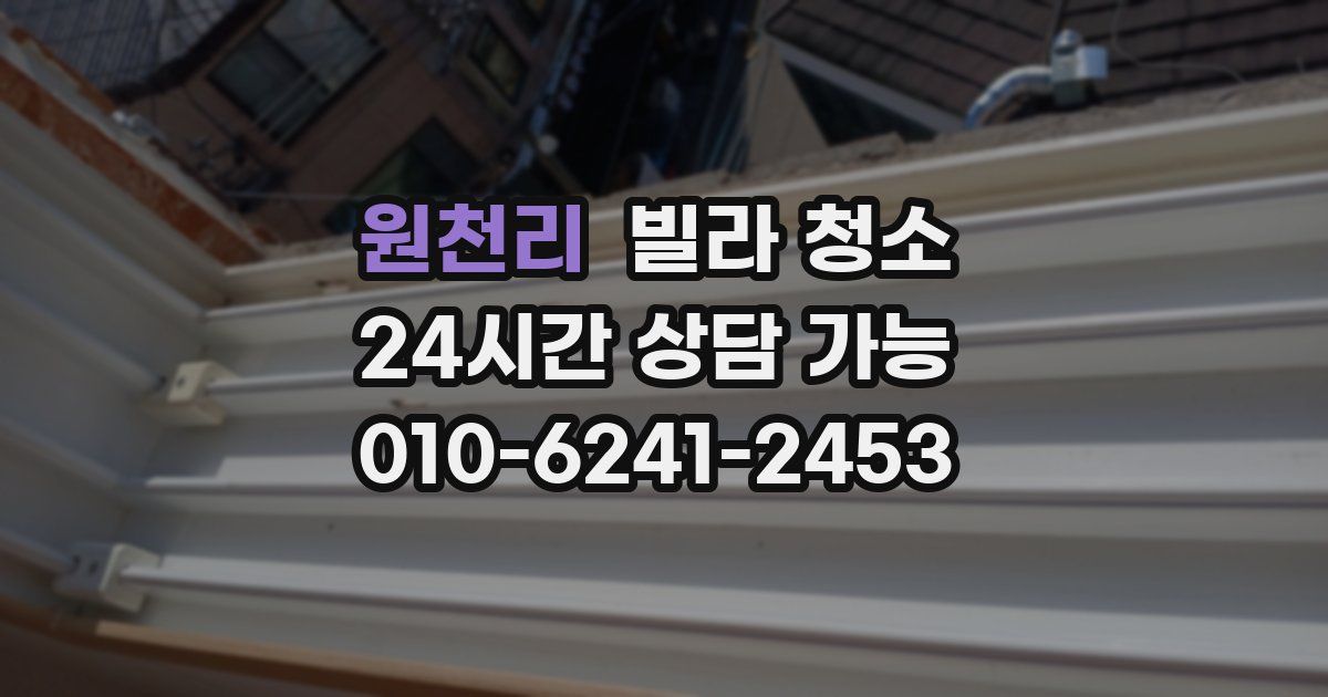 원천리 빌라 청소