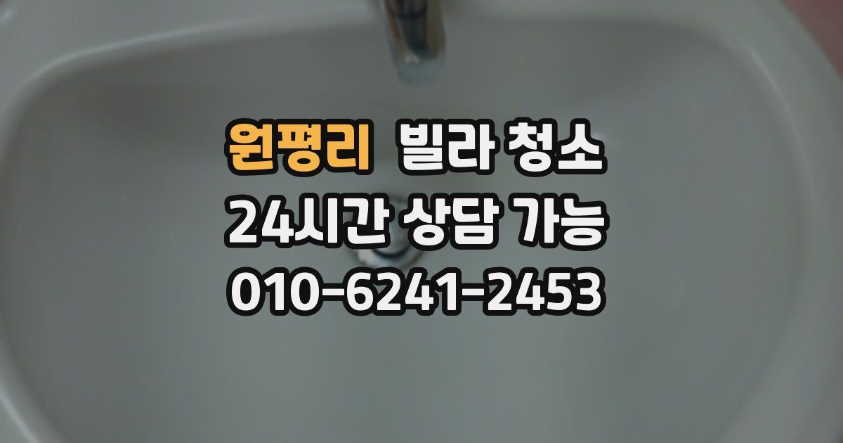 원평리 빌라 청소